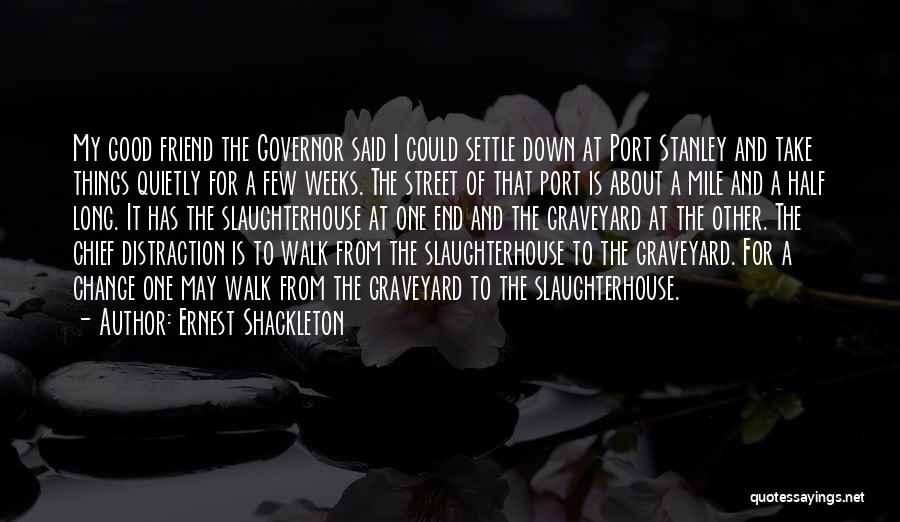 Ernest Shackleton Quotes: My Good Friend The Governor Said I Could Settle Down At Port Stanley And Take Things Quietly For A Few