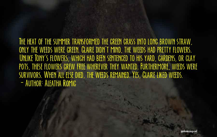 Aleatha Romig Quotes: The Heat Of The Summer Transformed The Green Grass Into Long Brown Straw, Only The Weeds Were Green. Claire Didn't
