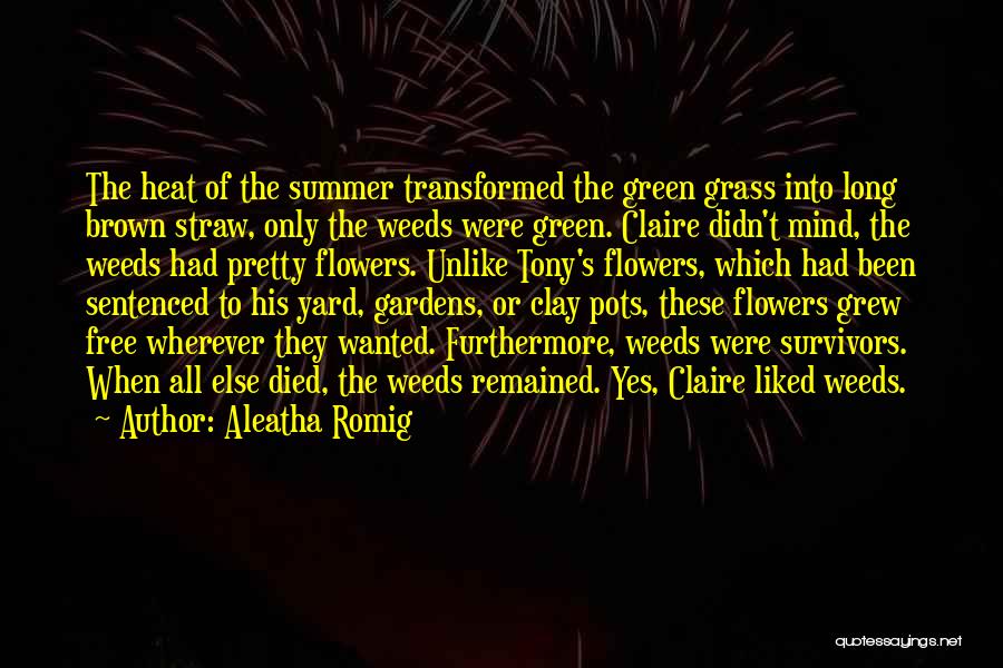 Aleatha Romig Quotes: The Heat Of The Summer Transformed The Green Grass Into Long Brown Straw, Only The Weeds Were Green. Claire Didn't