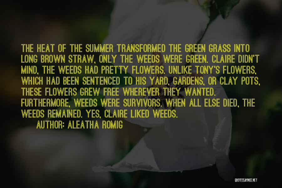 Aleatha Romig Quotes: The Heat Of The Summer Transformed The Green Grass Into Long Brown Straw, Only The Weeds Were Green. Claire Didn't