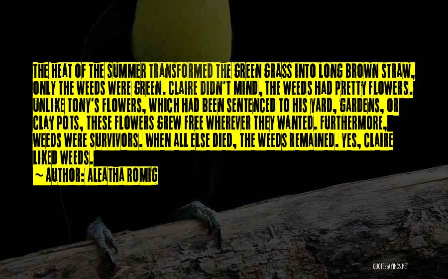 Aleatha Romig Quotes: The Heat Of The Summer Transformed The Green Grass Into Long Brown Straw, Only The Weeds Were Green. Claire Didn't