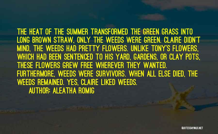 Aleatha Romig Quotes: The Heat Of The Summer Transformed The Green Grass Into Long Brown Straw, Only The Weeds Were Green. Claire Didn't