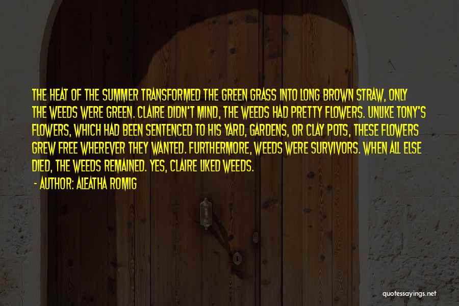 Aleatha Romig Quotes: The Heat Of The Summer Transformed The Green Grass Into Long Brown Straw, Only The Weeds Were Green. Claire Didn't