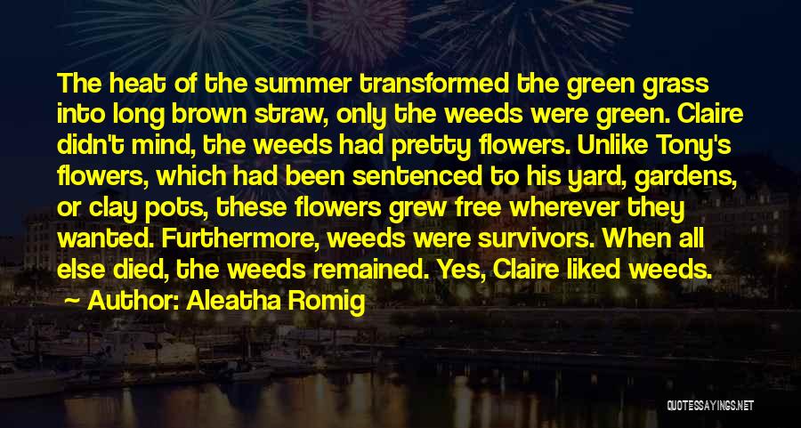 Aleatha Romig Quotes: The Heat Of The Summer Transformed The Green Grass Into Long Brown Straw, Only The Weeds Were Green. Claire Didn't