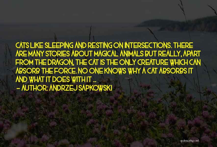 Andrzej Sapkowski Quotes: Cats Like Sleeping And Resting On Intersections. There Are Many Stories About Magical Animals But Really, Apart From The Dragon,