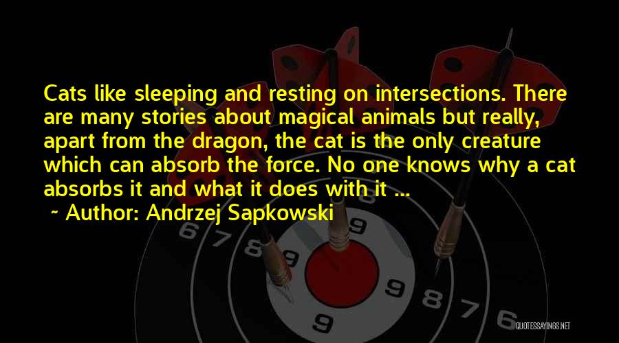 Andrzej Sapkowski Quotes: Cats Like Sleeping And Resting On Intersections. There Are Many Stories About Magical Animals But Really, Apart From The Dragon,