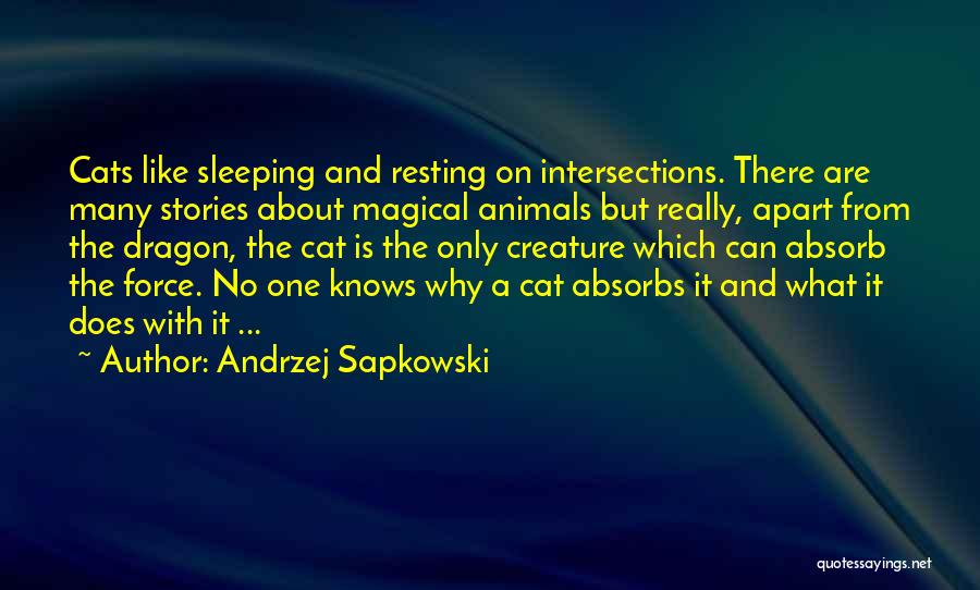 Andrzej Sapkowski Quotes: Cats Like Sleeping And Resting On Intersections. There Are Many Stories About Magical Animals But Really, Apart From The Dragon,