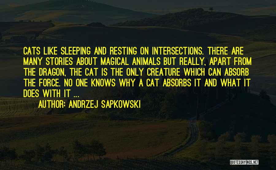 Andrzej Sapkowski Quotes: Cats Like Sleeping And Resting On Intersections. There Are Many Stories About Magical Animals But Really, Apart From The Dragon,