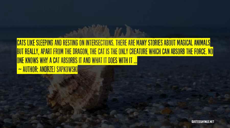 Andrzej Sapkowski Quotes: Cats Like Sleeping And Resting On Intersections. There Are Many Stories About Magical Animals But Really, Apart From The Dragon,