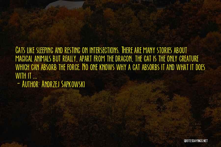 Andrzej Sapkowski Quotes: Cats Like Sleeping And Resting On Intersections. There Are Many Stories About Magical Animals But Really, Apart From The Dragon,