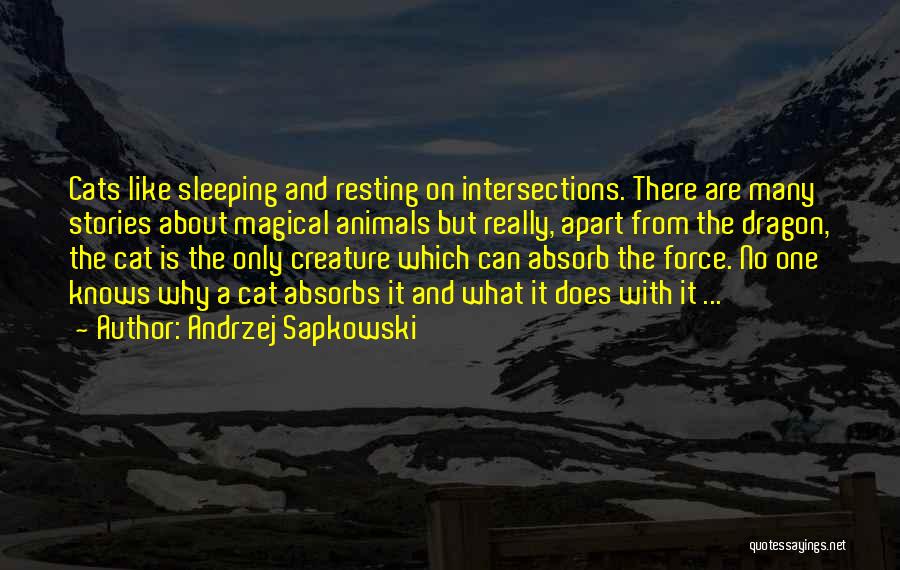 Andrzej Sapkowski Quotes: Cats Like Sleeping And Resting On Intersections. There Are Many Stories About Magical Animals But Really, Apart From The Dragon,