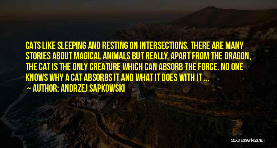 Andrzej Sapkowski Quotes: Cats Like Sleeping And Resting On Intersections. There Are Many Stories About Magical Animals But Really, Apart From The Dragon,