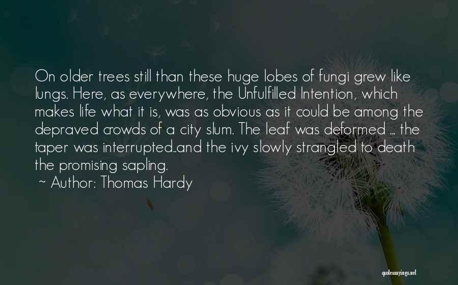 Thomas Hardy Quotes: On Older Trees Still Than These Huge Lobes Of Fungi Grew Like Lungs. Here, As Everywhere, The Unfulfilled Intention, Which