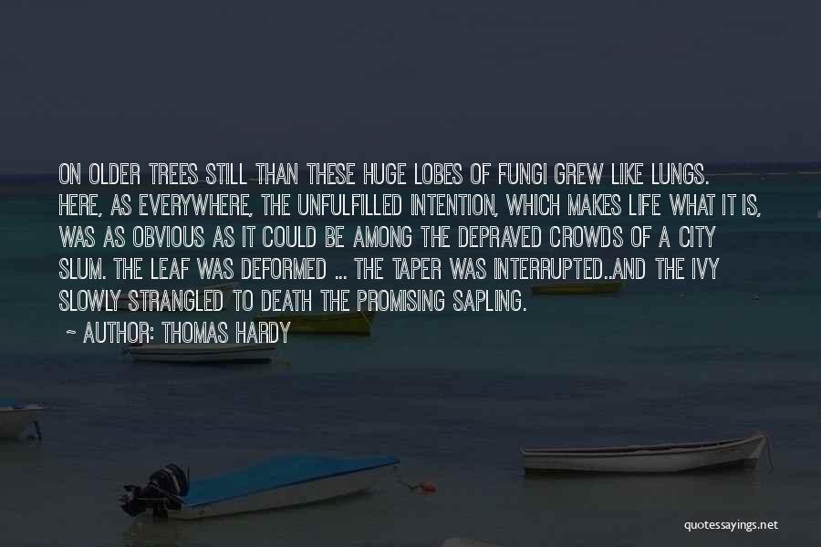 Thomas Hardy Quotes: On Older Trees Still Than These Huge Lobes Of Fungi Grew Like Lungs. Here, As Everywhere, The Unfulfilled Intention, Which