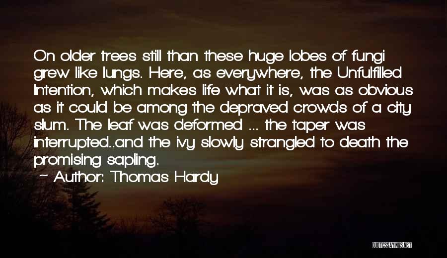 Thomas Hardy Quotes: On Older Trees Still Than These Huge Lobes Of Fungi Grew Like Lungs. Here, As Everywhere, The Unfulfilled Intention, Which