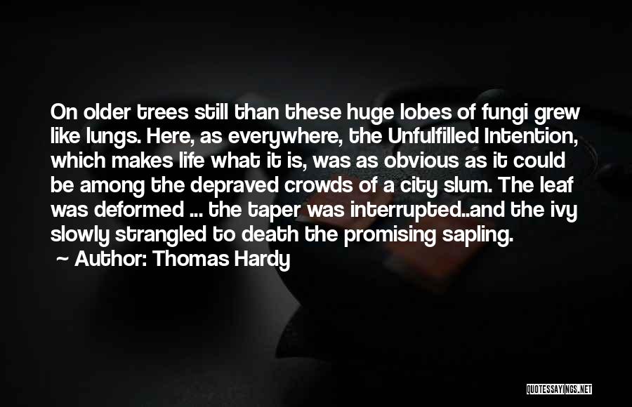 Thomas Hardy Quotes: On Older Trees Still Than These Huge Lobes Of Fungi Grew Like Lungs. Here, As Everywhere, The Unfulfilled Intention, Which