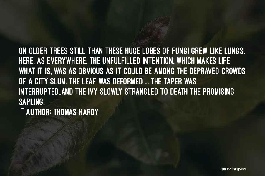 Thomas Hardy Quotes: On Older Trees Still Than These Huge Lobes Of Fungi Grew Like Lungs. Here, As Everywhere, The Unfulfilled Intention, Which