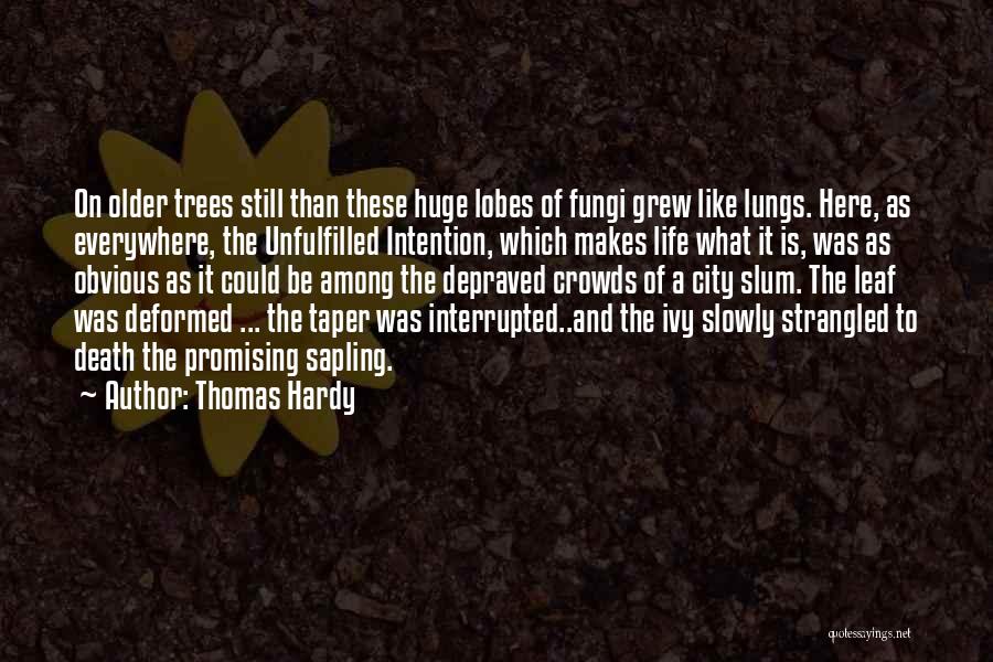 Thomas Hardy Quotes: On Older Trees Still Than These Huge Lobes Of Fungi Grew Like Lungs. Here, As Everywhere, The Unfulfilled Intention, Which