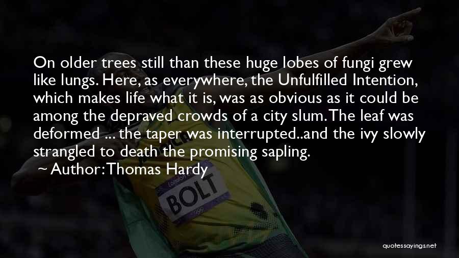 Thomas Hardy Quotes: On Older Trees Still Than These Huge Lobes Of Fungi Grew Like Lungs. Here, As Everywhere, The Unfulfilled Intention, Which