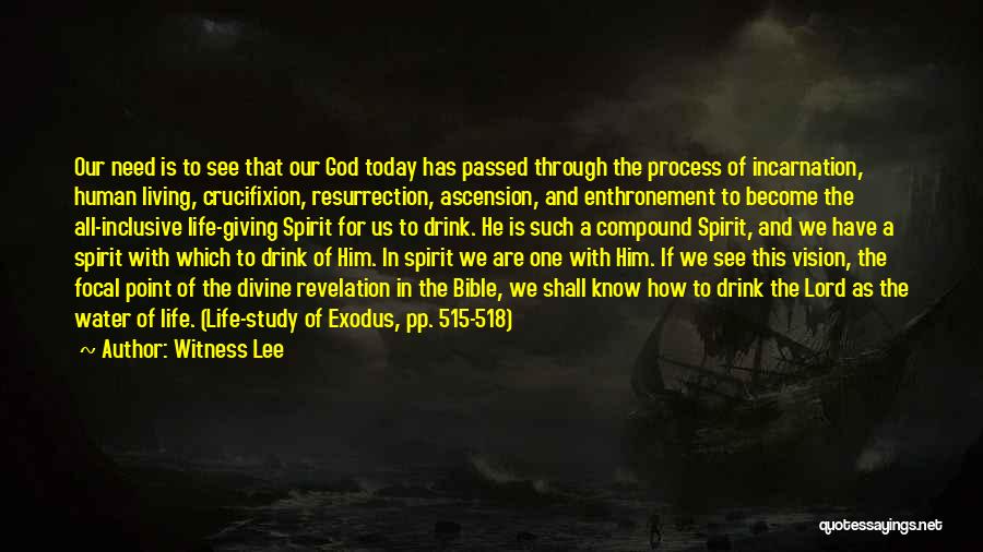 Witness Lee Quotes: Our Need Is To See That Our God Today Has Passed Through The Process Of Incarnation, Human Living, Crucifixion, Resurrection,