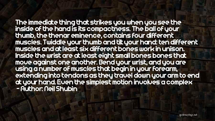 Neil Shubin Quotes: The Immediate Thing That Strikes You When You See The Inside Of The Hand Is Its Compactness. The Ball Of