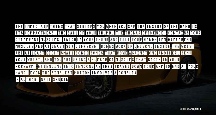 Neil Shubin Quotes: The Immediate Thing That Strikes You When You See The Inside Of The Hand Is Its Compactness. The Ball Of