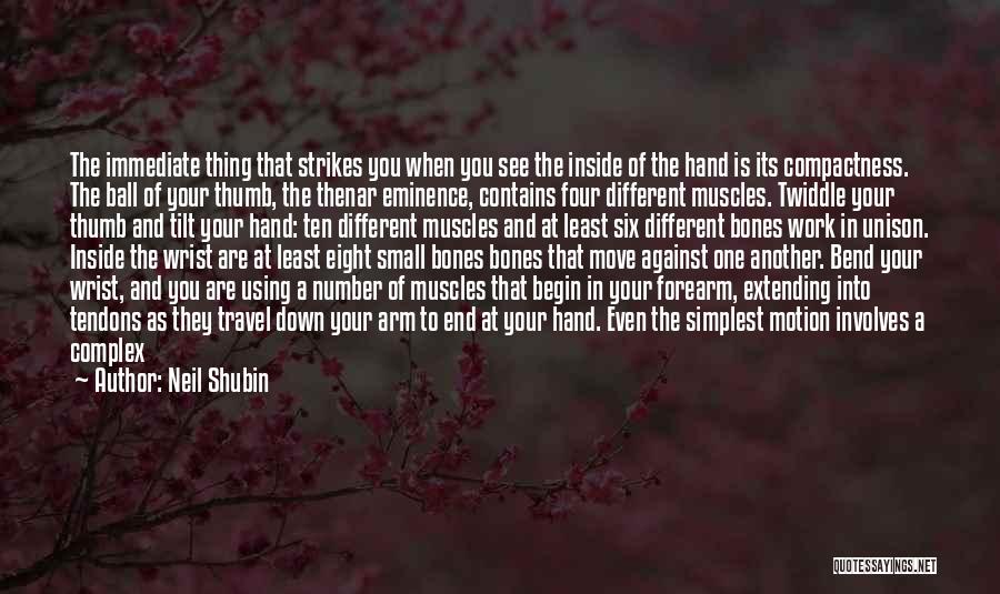 Neil Shubin Quotes: The Immediate Thing That Strikes You When You See The Inside Of The Hand Is Its Compactness. The Ball Of