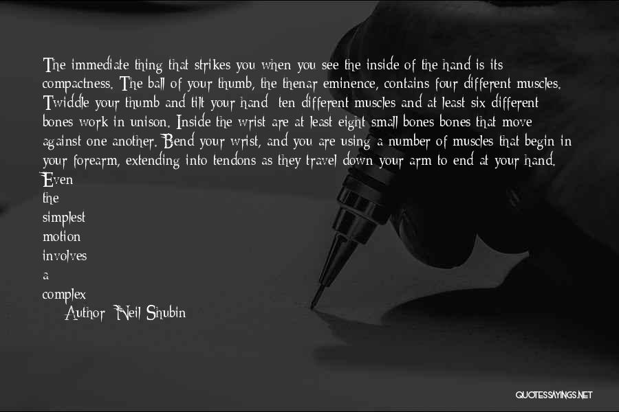 Neil Shubin Quotes: The Immediate Thing That Strikes You When You See The Inside Of The Hand Is Its Compactness. The Ball Of