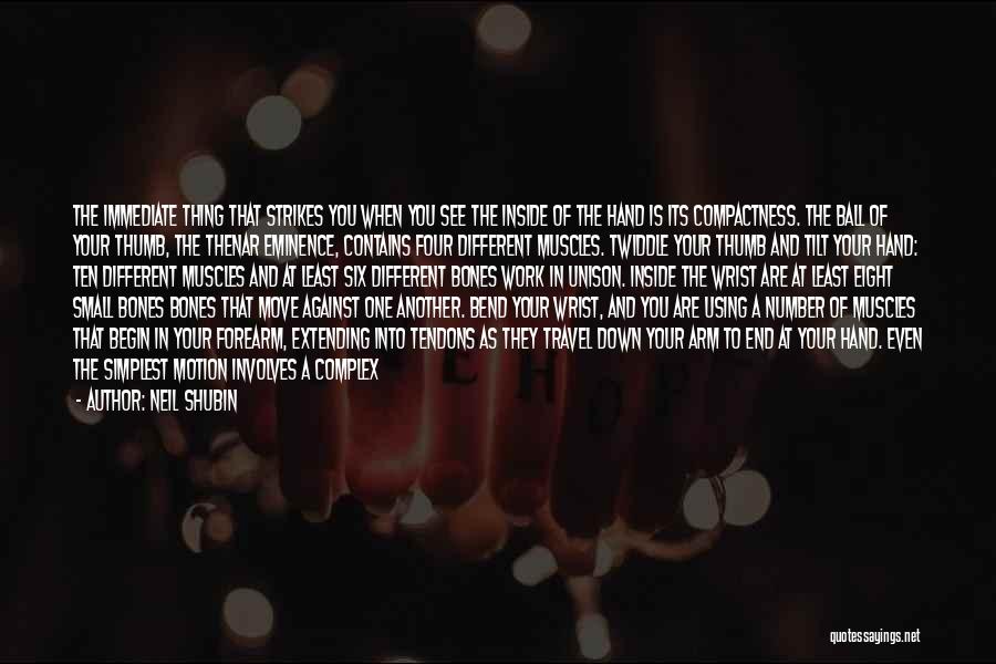 Neil Shubin Quotes: The Immediate Thing That Strikes You When You See The Inside Of The Hand Is Its Compactness. The Ball Of