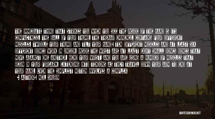 Neil Shubin Quotes: The Immediate Thing That Strikes You When You See The Inside Of The Hand Is Its Compactness. The Ball Of