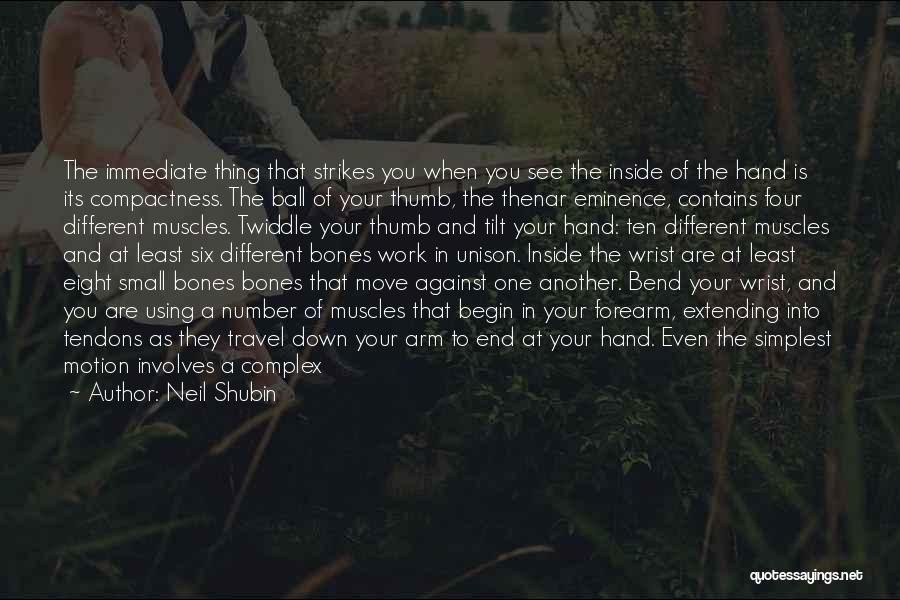 Neil Shubin Quotes: The Immediate Thing That Strikes You When You See The Inside Of The Hand Is Its Compactness. The Ball Of