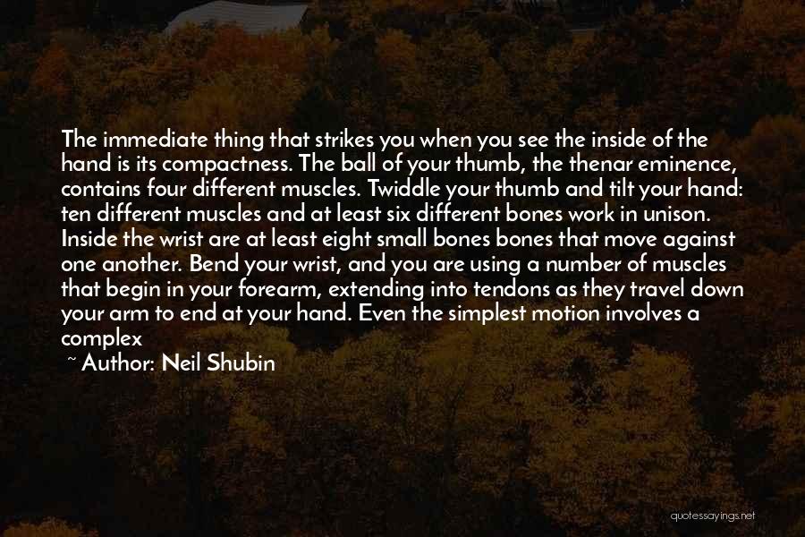 Neil Shubin Quotes: The Immediate Thing That Strikes You When You See The Inside Of The Hand Is Its Compactness. The Ball Of