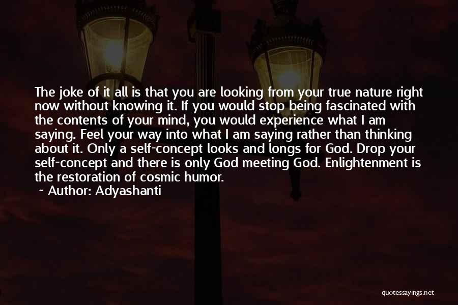 Adyashanti Quotes: The Joke Of It All Is That You Are Looking From Your True Nature Right Now Without Knowing It. If