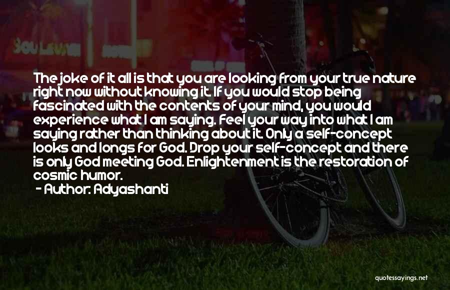 Adyashanti Quotes: The Joke Of It All Is That You Are Looking From Your True Nature Right Now Without Knowing It. If