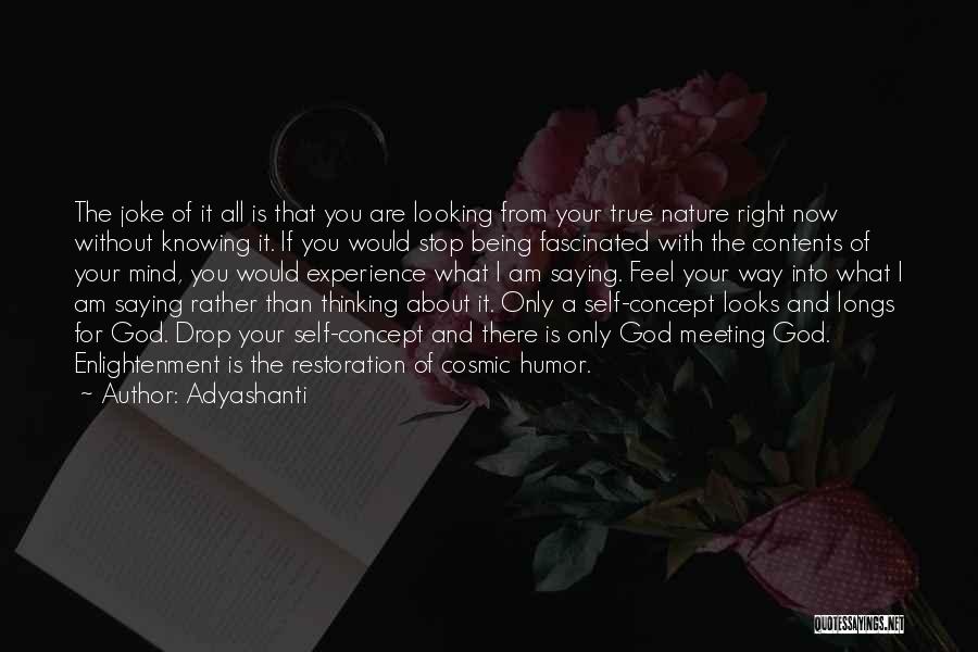 Adyashanti Quotes: The Joke Of It All Is That You Are Looking From Your True Nature Right Now Without Knowing It. If