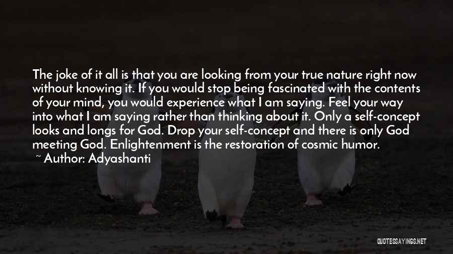 Adyashanti Quotes: The Joke Of It All Is That You Are Looking From Your True Nature Right Now Without Knowing It. If