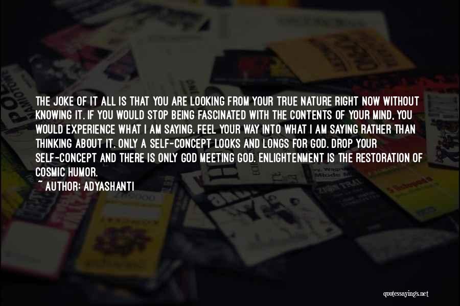 Adyashanti Quotes: The Joke Of It All Is That You Are Looking From Your True Nature Right Now Without Knowing It. If