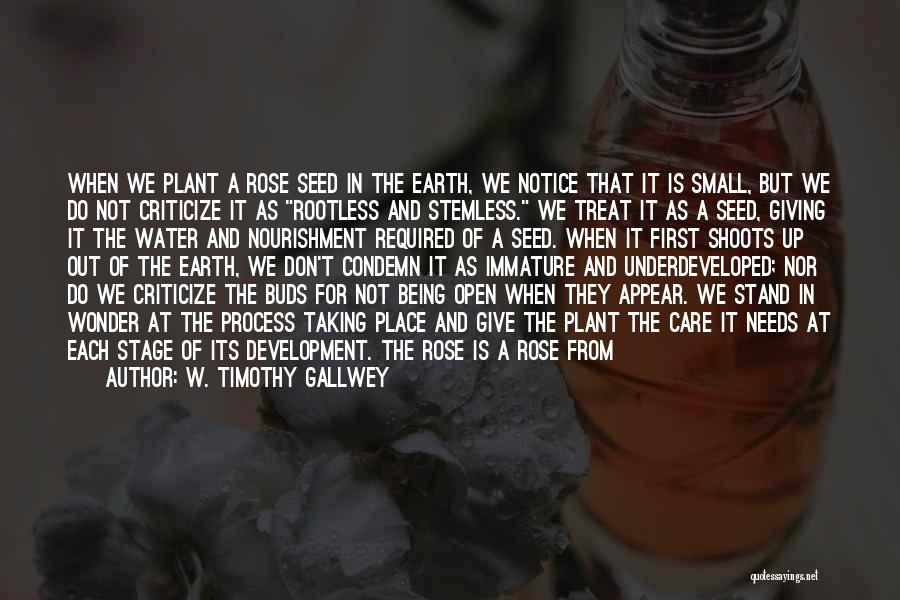 W. Timothy Gallwey Quotes: When We Plant A Rose Seed In The Earth, We Notice That It Is Small, But We Do Not Criticize