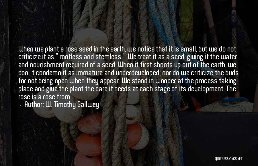 W. Timothy Gallwey Quotes: When We Plant A Rose Seed In The Earth, We Notice That It Is Small, But We Do Not Criticize
