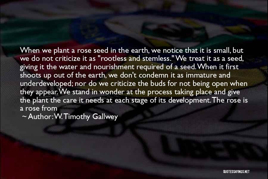 W. Timothy Gallwey Quotes: When We Plant A Rose Seed In The Earth, We Notice That It Is Small, But We Do Not Criticize