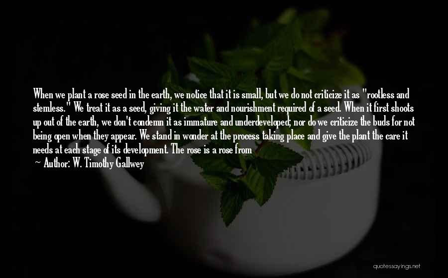 W. Timothy Gallwey Quotes: When We Plant A Rose Seed In The Earth, We Notice That It Is Small, But We Do Not Criticize