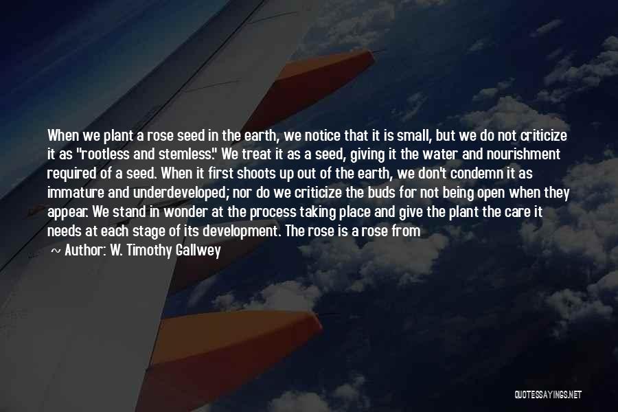 W. Timothy Gallwey Quotes: When We Plant A Rose Seed In The Earth, We Notice That It Is Small, But We Do Not Criticize