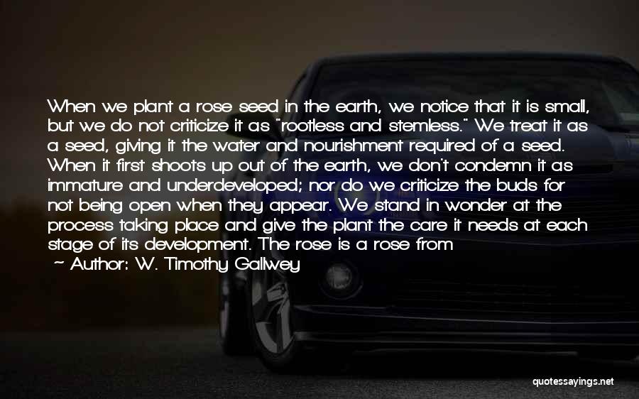 W. Timothy Gallwey Quotes: When We Plant A Rose Seed In The Earth, We Notice That It Is Small, But We Do Not Criticize