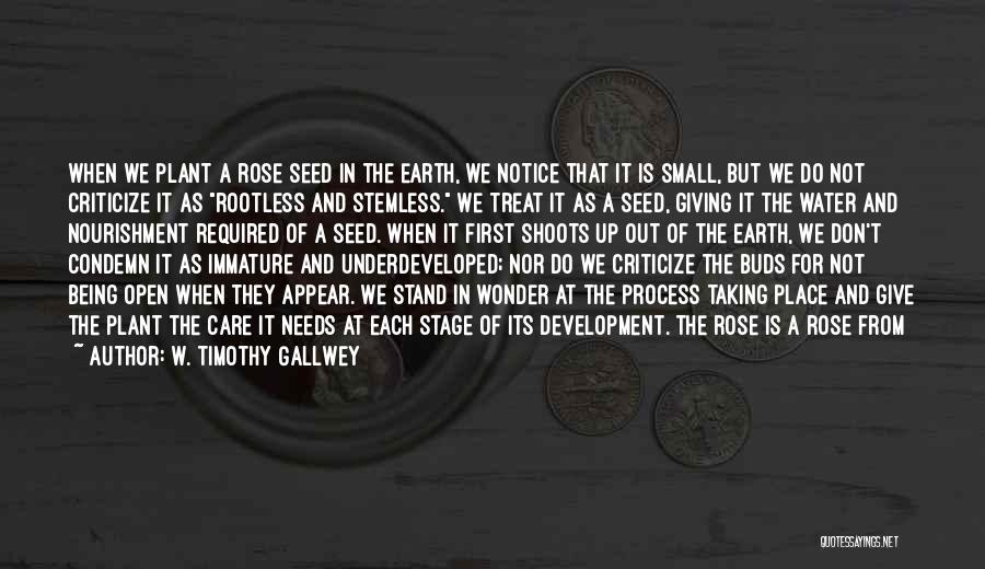 W. Timothy Gallwey Quotes: When We Plant A Rose Seed In The Earth, We Notice That It Is Small, But We Do Not Criticize