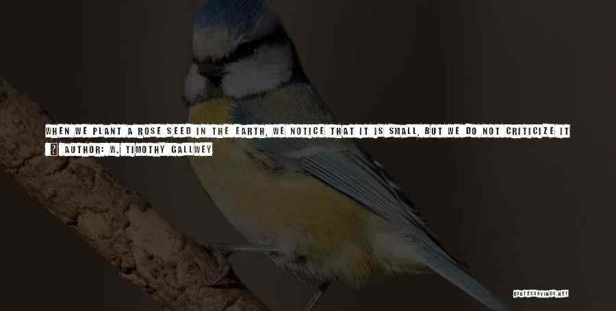 W. Timothy Gallwey Quotes: When We Plant A Rose Seed In The Earth, We Notice That It Is Small, But We Do Not Criticize