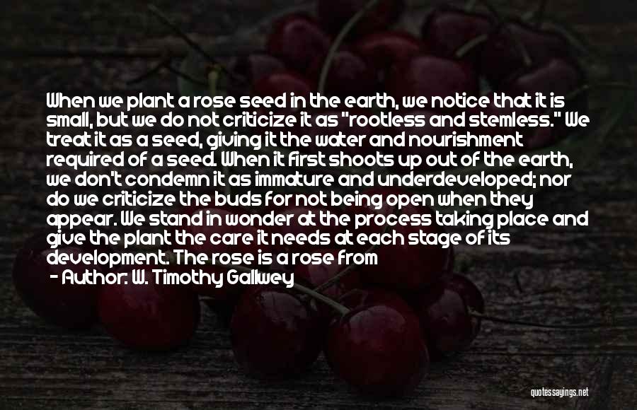 W. Timothy Gallwey Quotes: When We Plant A Rose Seed In The Earth, We Notice That It Is Small, But We Do Not Criticize
