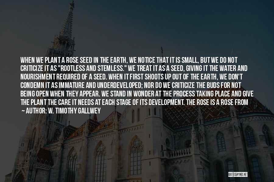 W. Timothy Gallwey Quotes: When We Plant A Rose Seed In The Earth, We Notice That It Is Small, But We Do Not Criticize