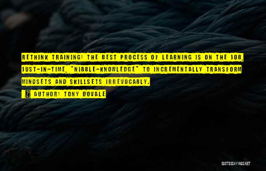 Tony Dovale Quotes: Rethink Training: The Best Process Of Learning Is On The Job, Just-in-time, Nibble-knowledge To Incrementally Transform Mindsets And Skillsets Irrevocably.