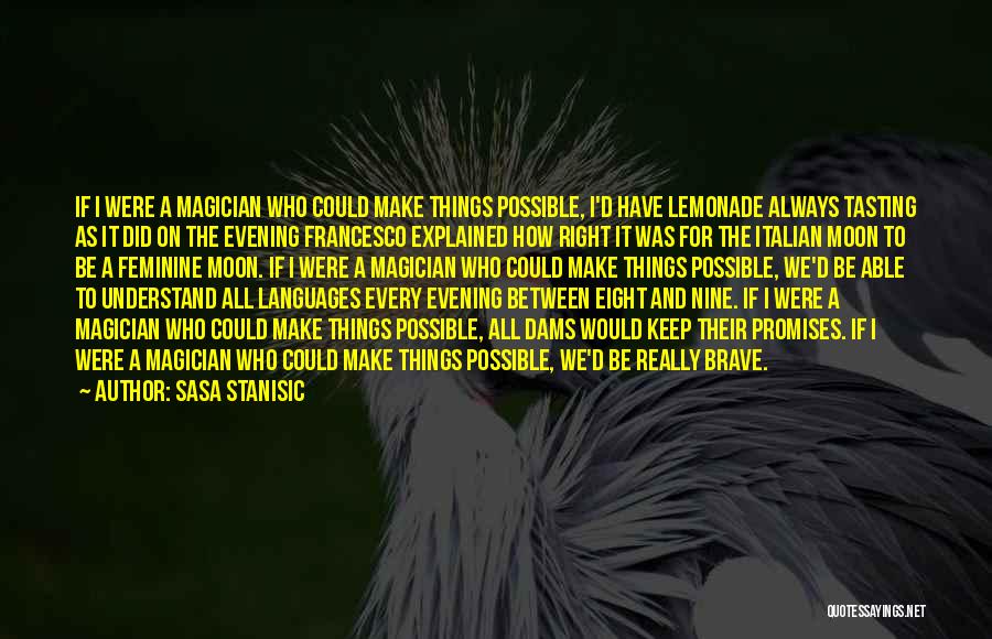 Sasa Stanisic Quotes: If I Were A Magician Who Could Make Things Possible, I'd Have Lemonade Always Tasting As It Did On The