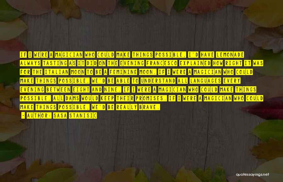 Sasa Stanisic Quotes: If I Were A Magician Who Could Make Things Possible, I'd Have Lemonade Always Tasting As It Did On The